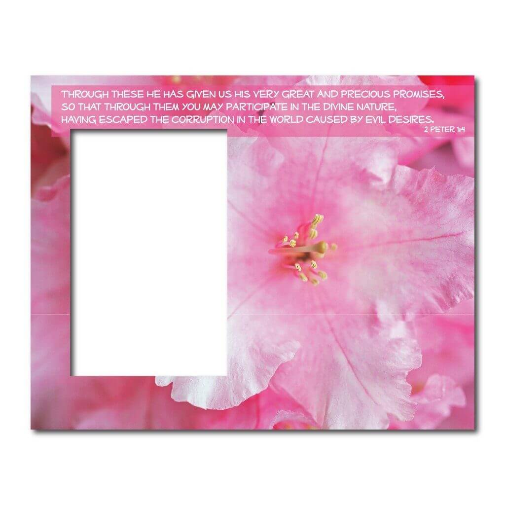 2 Peter 1:4 Decorative Picture Frame - Image 2