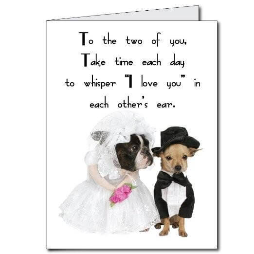 3' Giant Bulldog & Chihuahua Wedding Greeting Card - Image 2