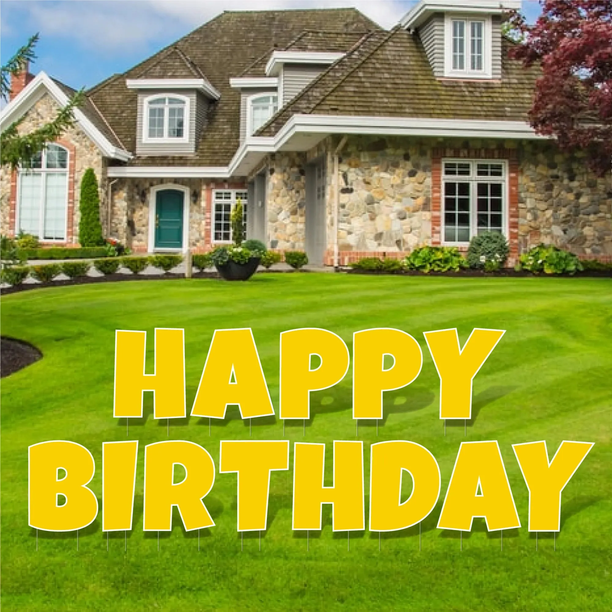 22.75" 'Luckiest Guy' Happy Birthday | Solid Color - 13 pc Set - Image 6