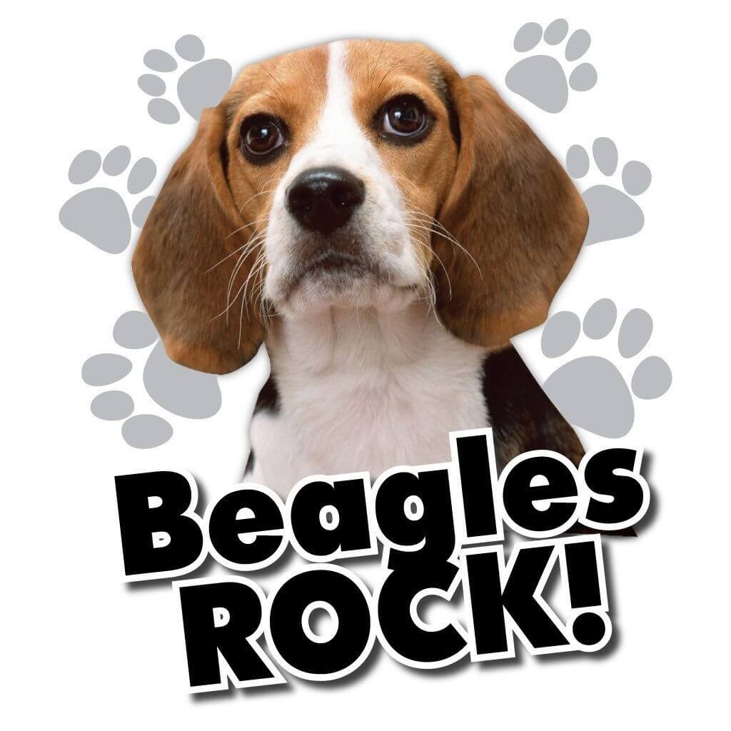 Beagles Rock! White T-Shirt - Image 2