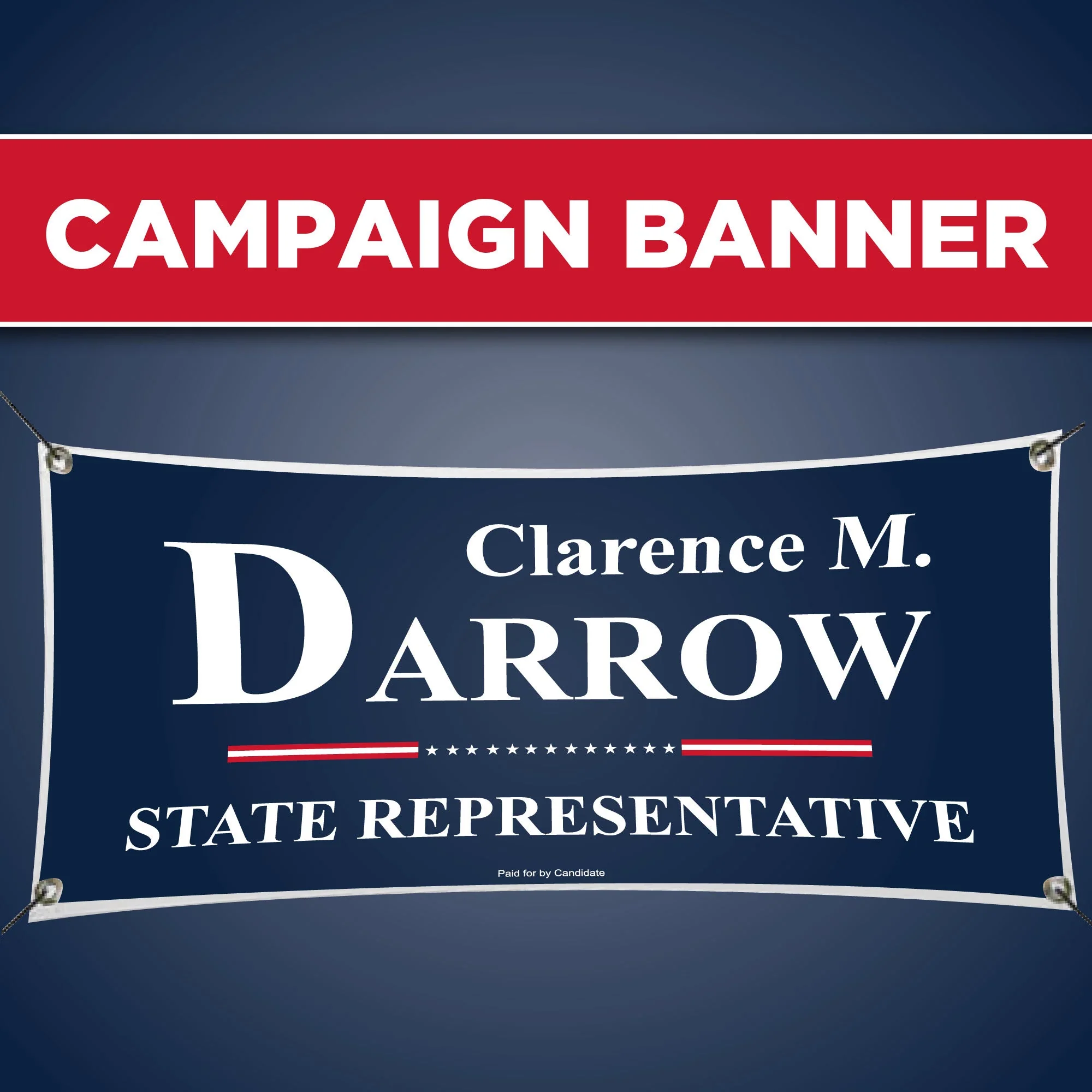Candidate Campaign Starter Kit - Image 4