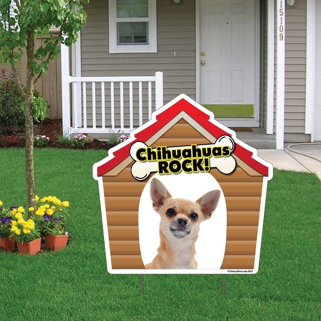 Chihuahuas Rock! Dog Yard Sign