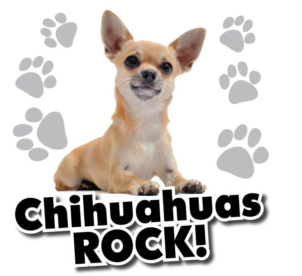 Chihuahuas Rock! White T-Shirt - Image 2