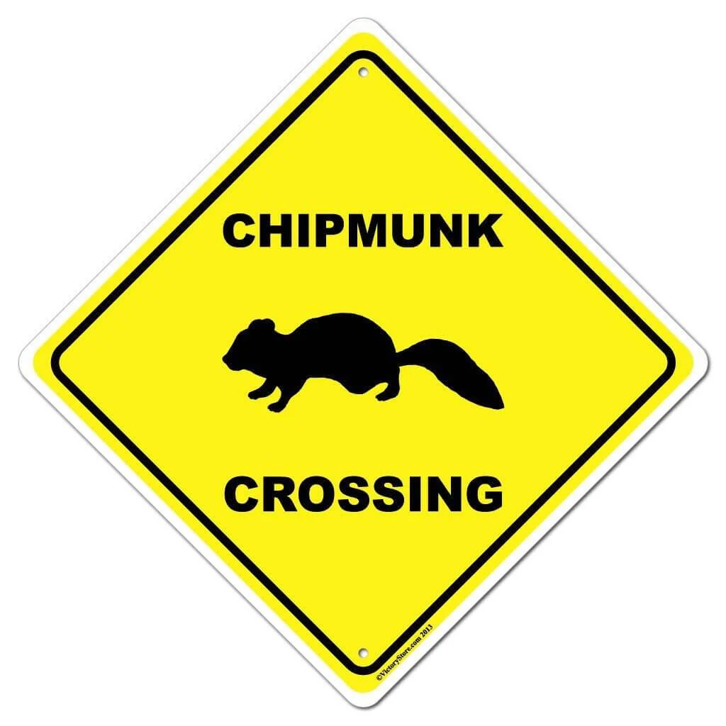 Chipmunk Crossing Sign or Sticker - Image 2