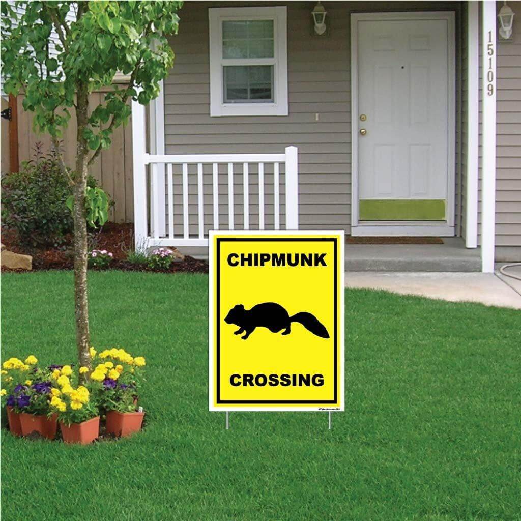 Chipmunk Crossing Sign or Sticker - Image 5