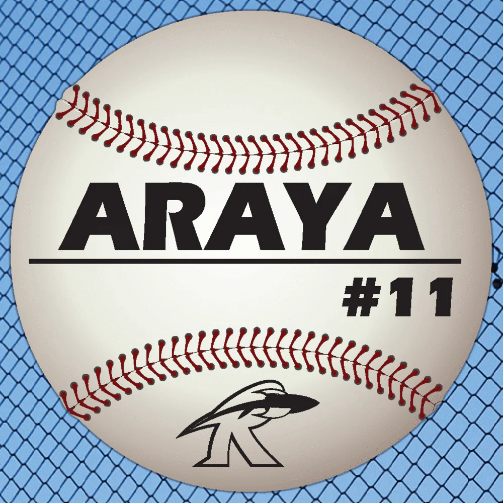 Custom 22" Baseball Player Name, Number and Mascot Fence & Yard Signs - Image 2