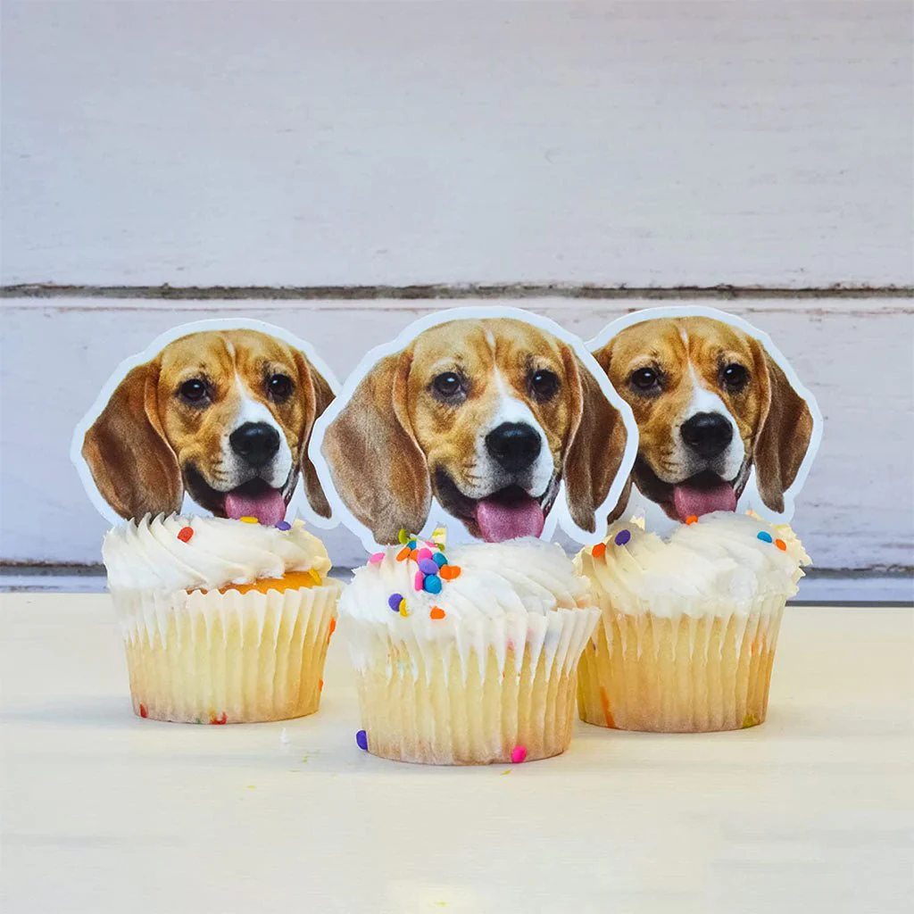 Custom Face Cutout Cupcake Toppers - Image 5