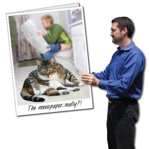 3' Giant Toilet Cat Birthday Greeting Card