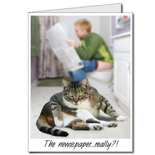 3' Giant Toilet Cat Birthday Greeting Card - Image 2