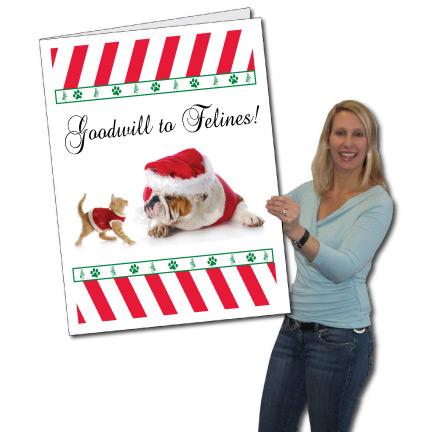 Giant Goodwill to Felines Christmas Greeting Card