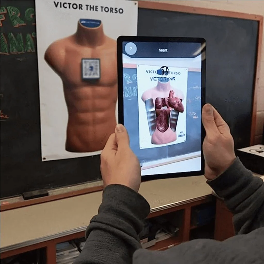 Human Anatomy Augmented Reality Bundle: Teacher Book + 25 Student Books + Torso Banner - Image 3