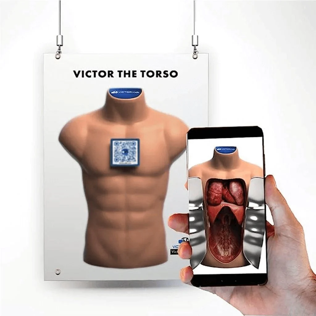 Human Anatomy Augmented Reality Bundle: Teacher Book + 25 Student Books + Torso Banner - Image 5