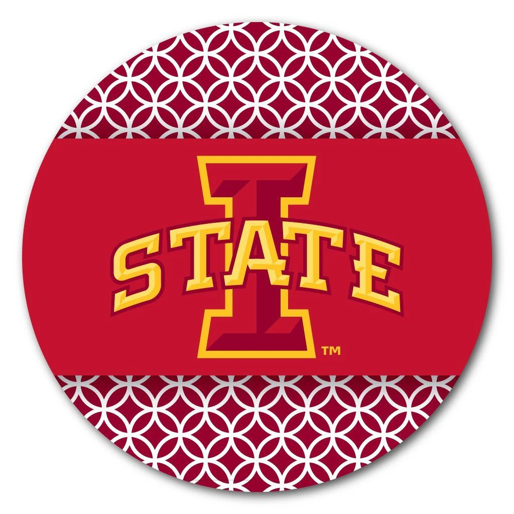 Iowa State University Patterned Coaster Set of 4 - Image 2