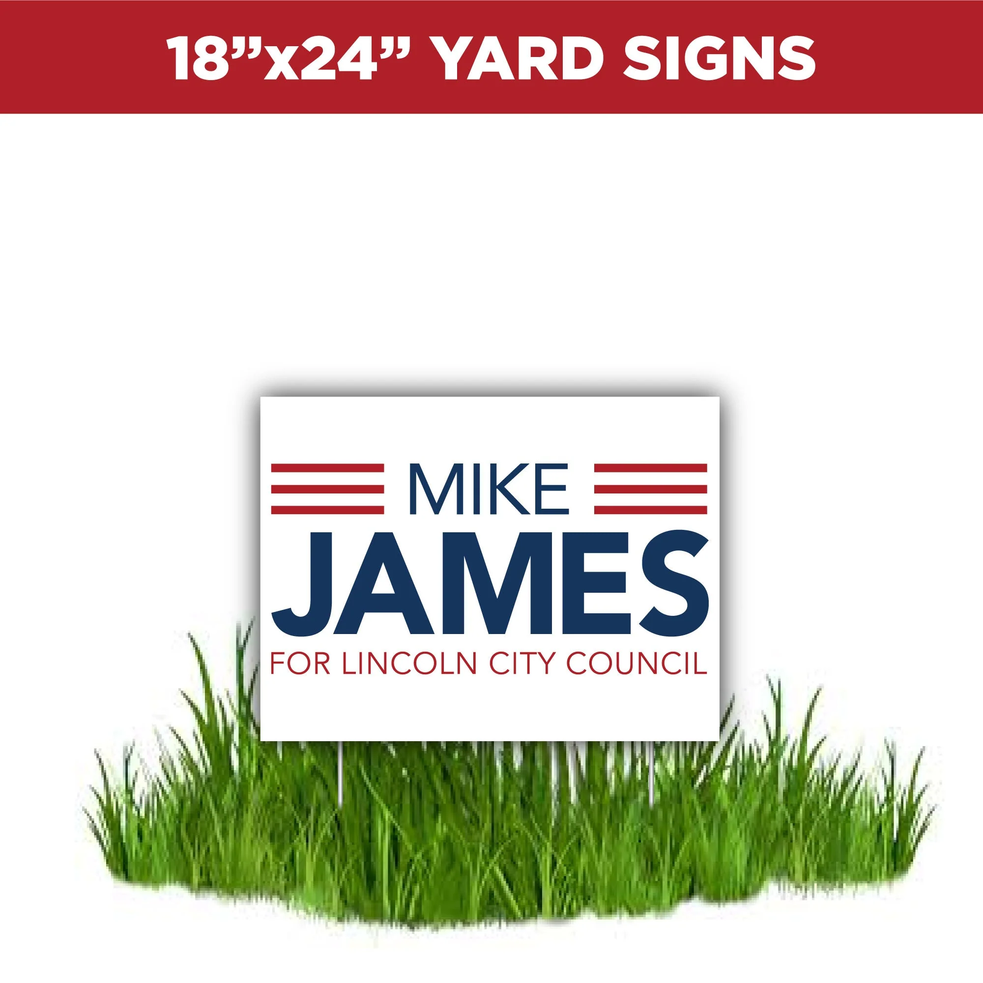 Large Campaign Package - Image 3
