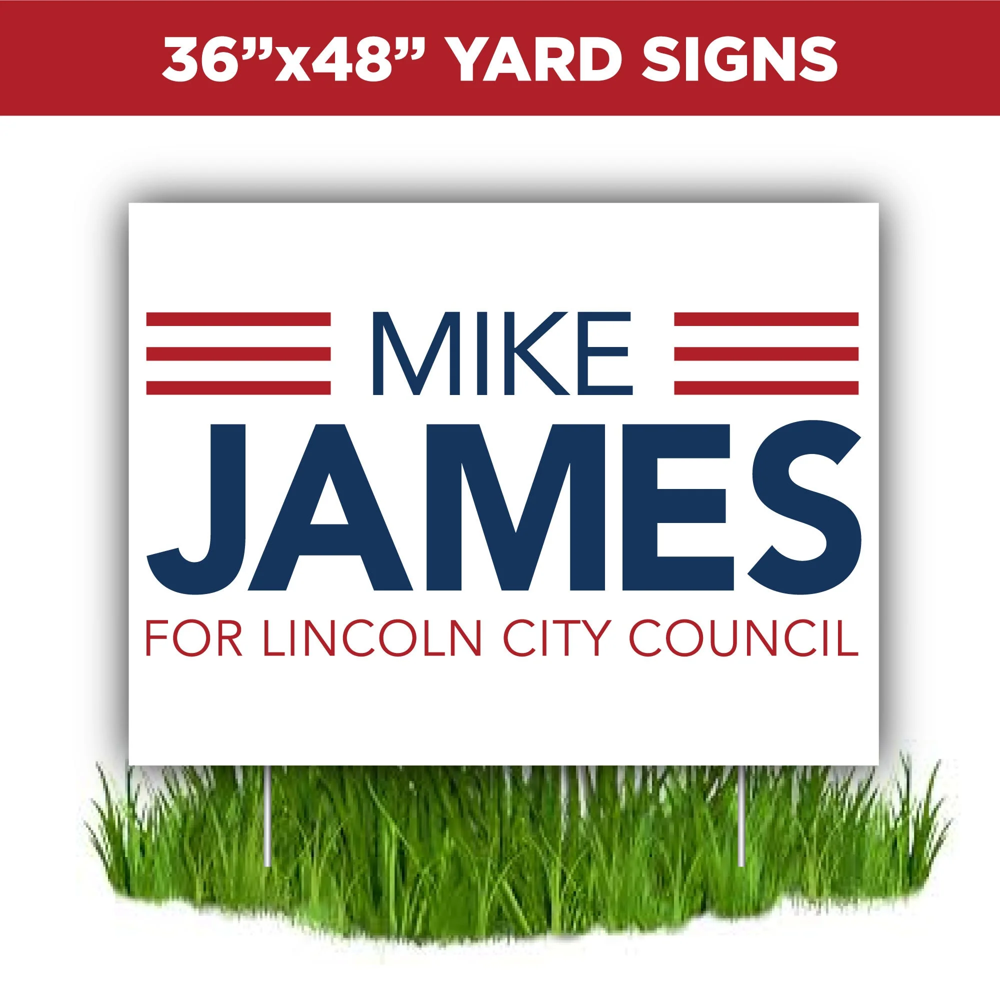Large Campaign Package - Image 4