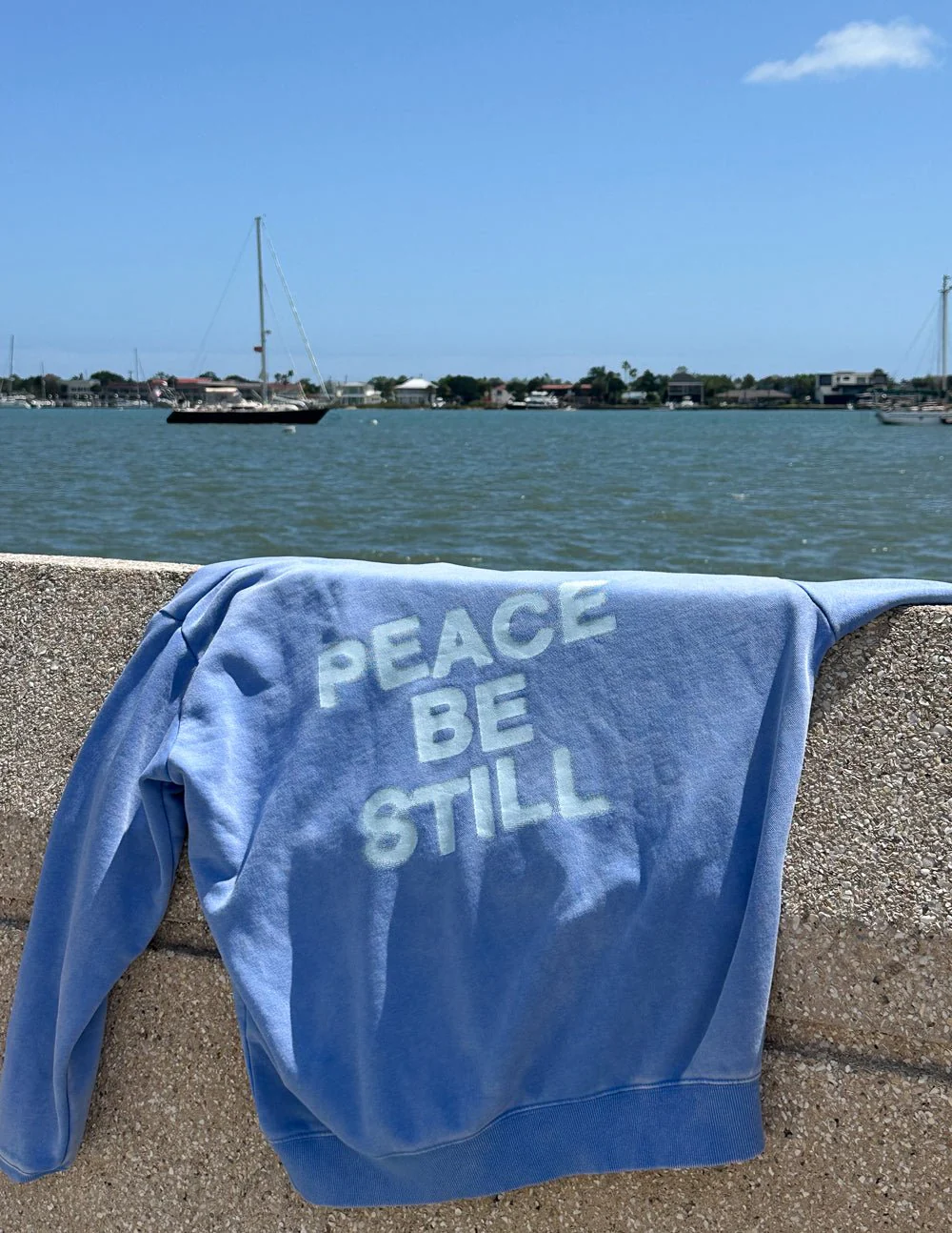 Peace Be Still Unisex Hoodie - Image 11