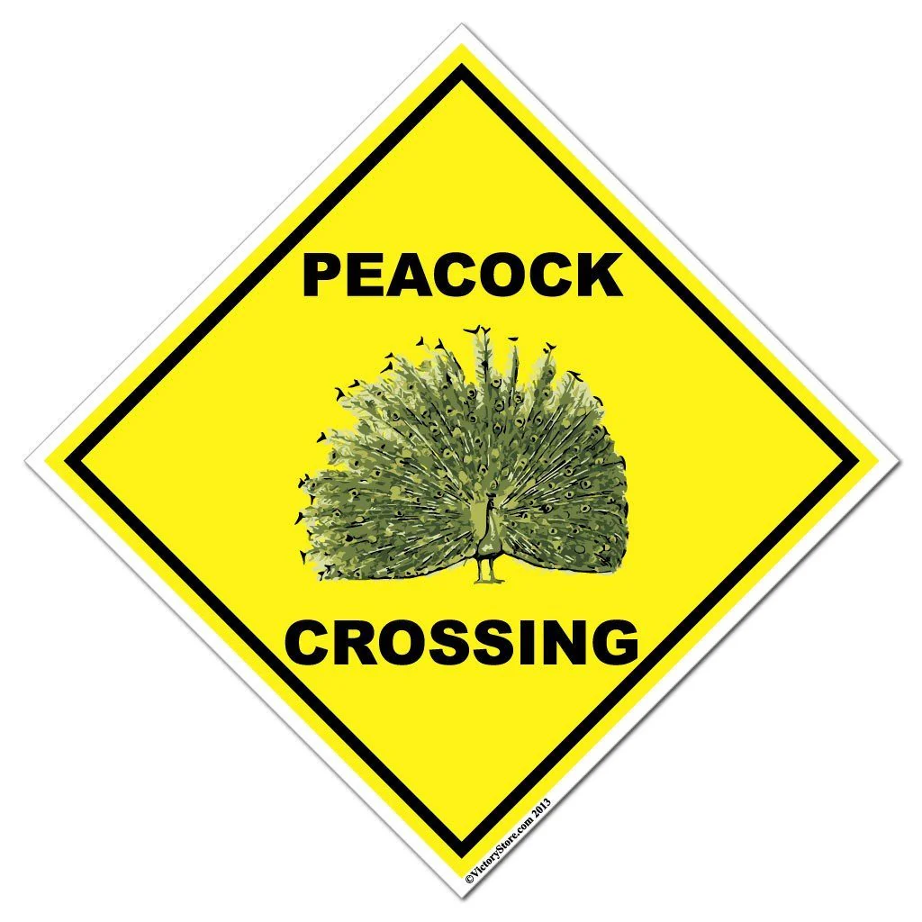 Peacock Crossing Sign or Sticker - Image 2