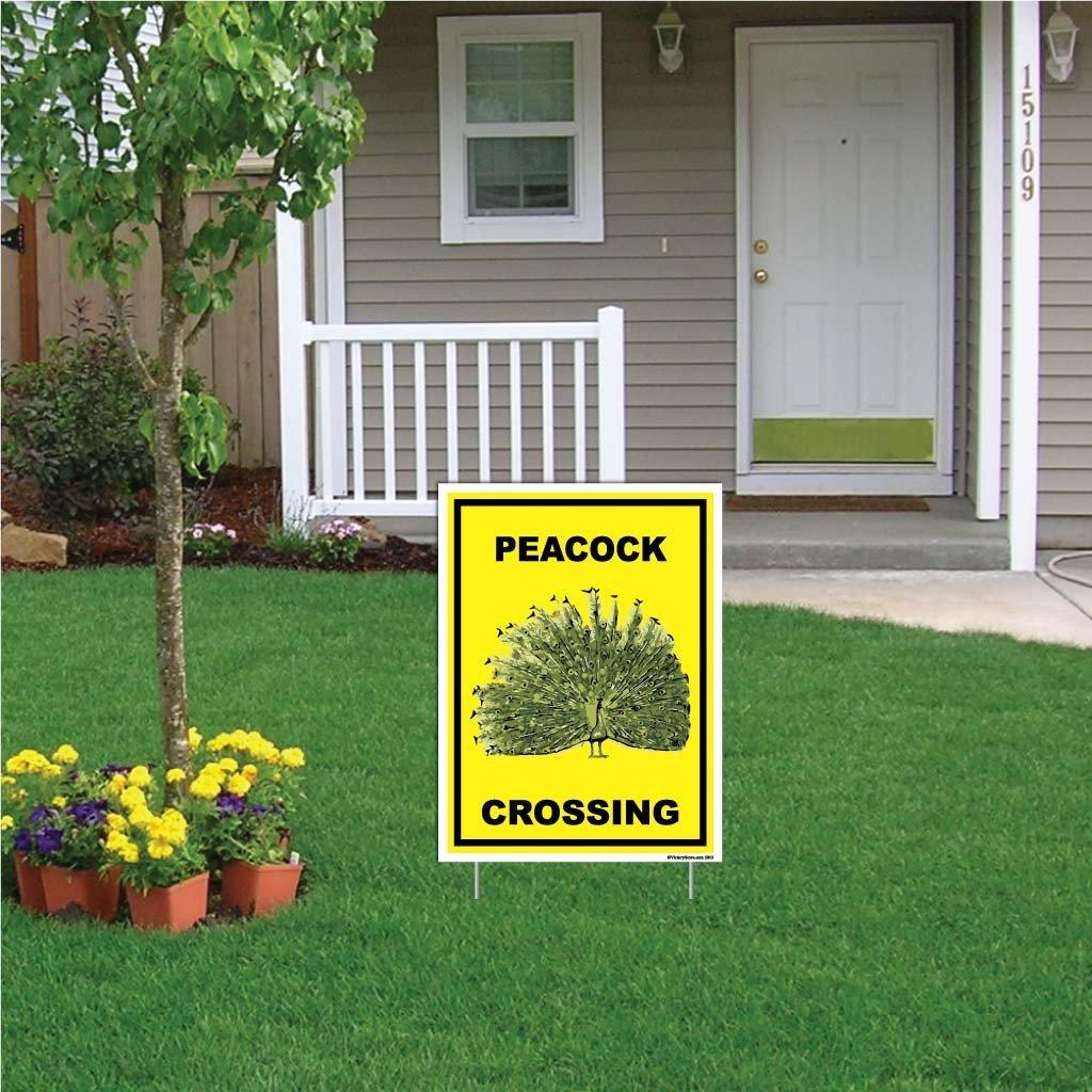Peacock Crossing Sign or Sticker - Image 6