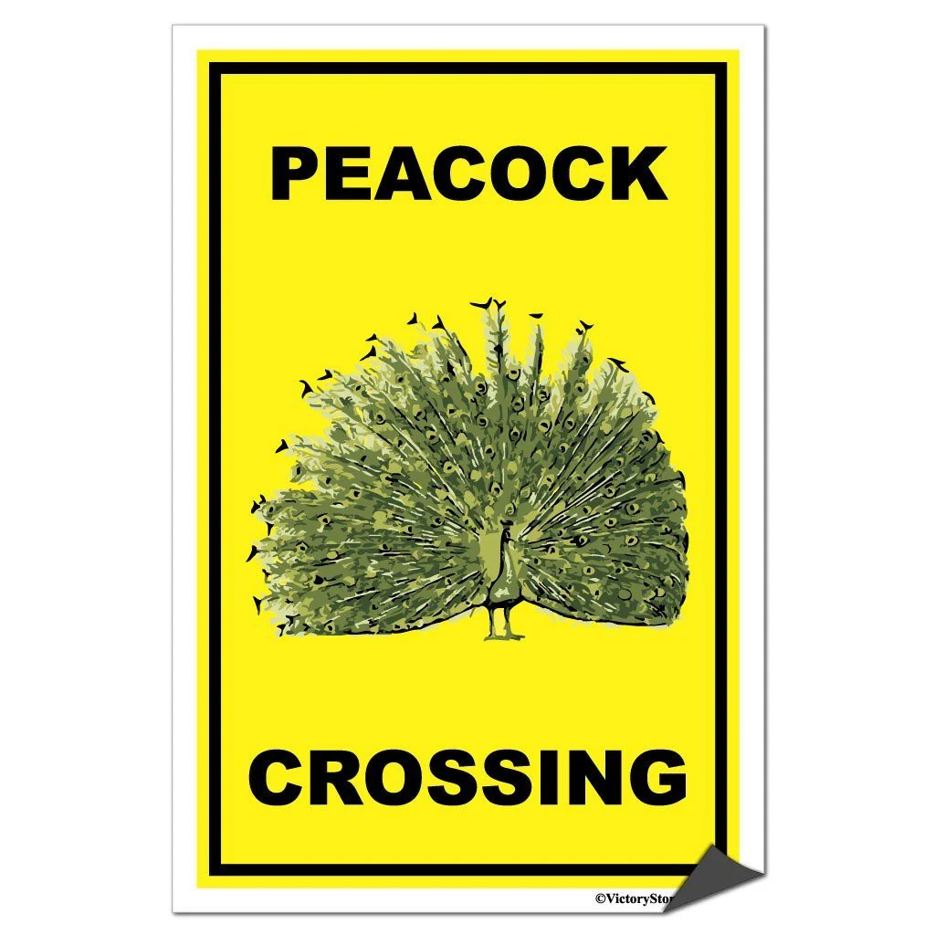 Peacock Crossing Sign or Sticker - Image 8