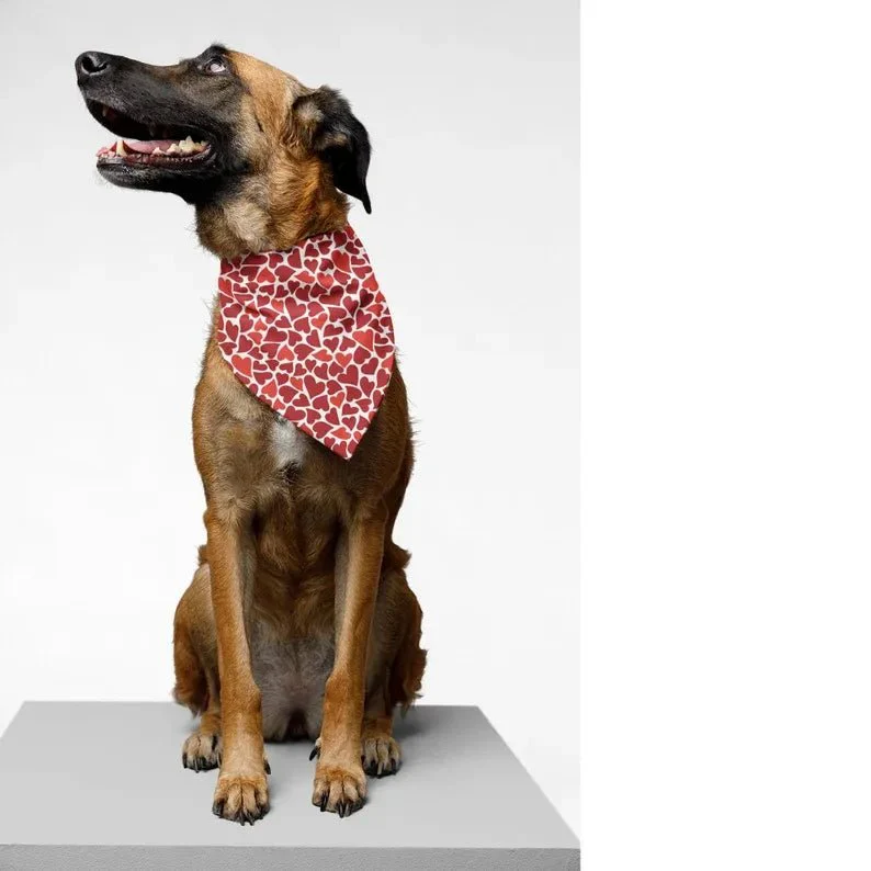 Pet Bandanas | Set of 12 - Image 5