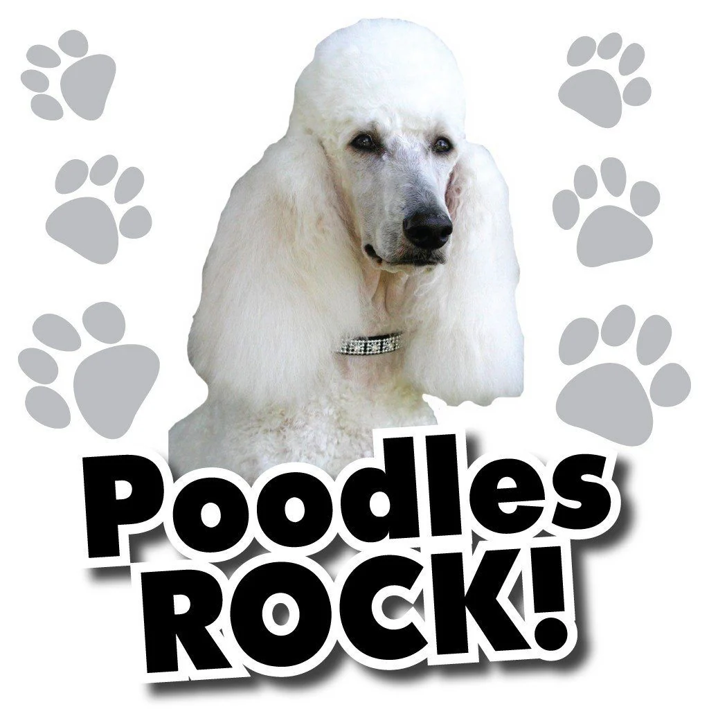 Poodles Rock! White T-Shirt - Image 2
