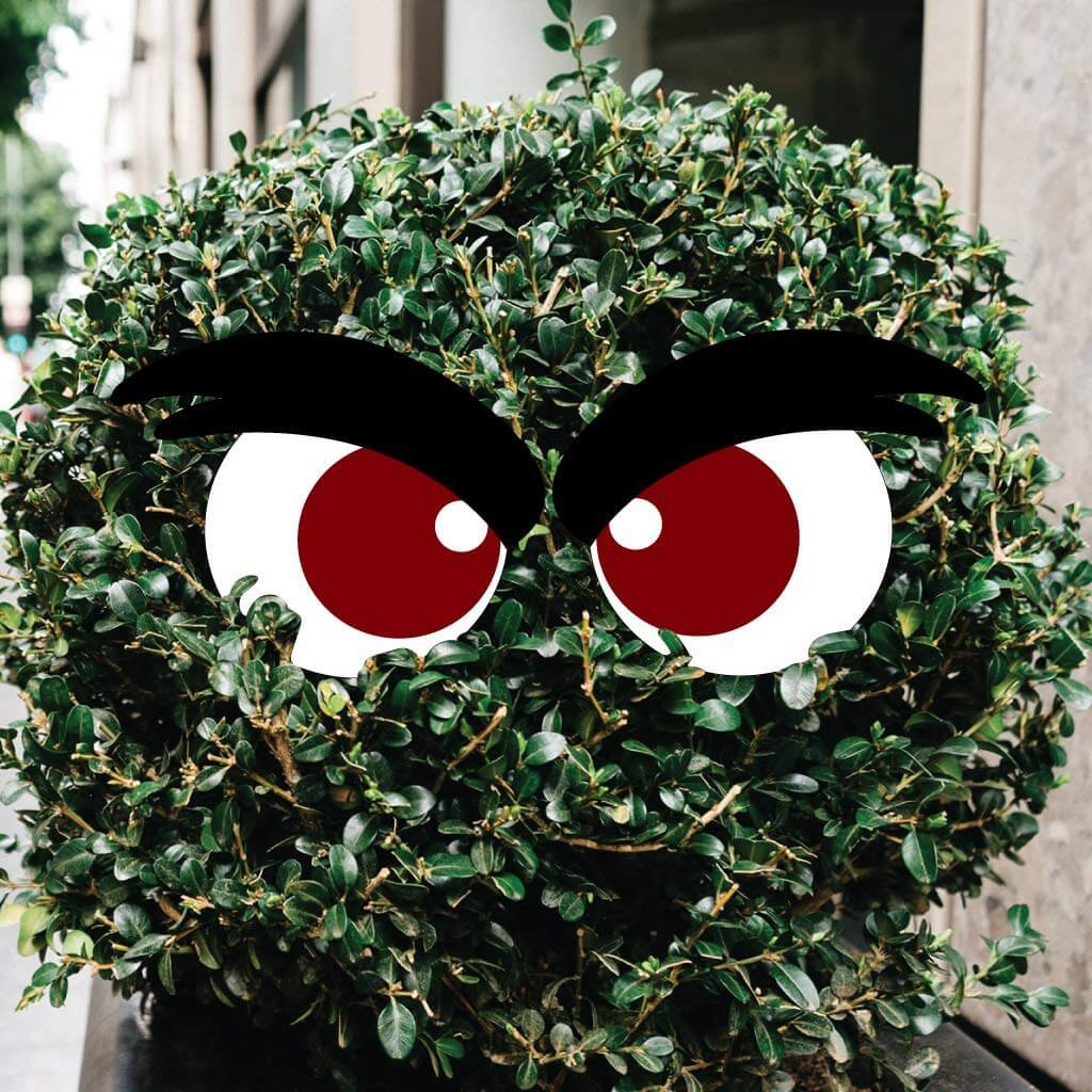 Scary Eyes Halloween Yard Decorations - 12 piece set - Image 3