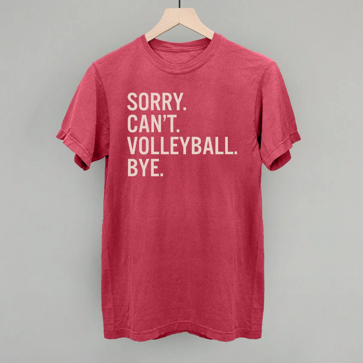 Sorry Can't Volleyball Bye - Image 11