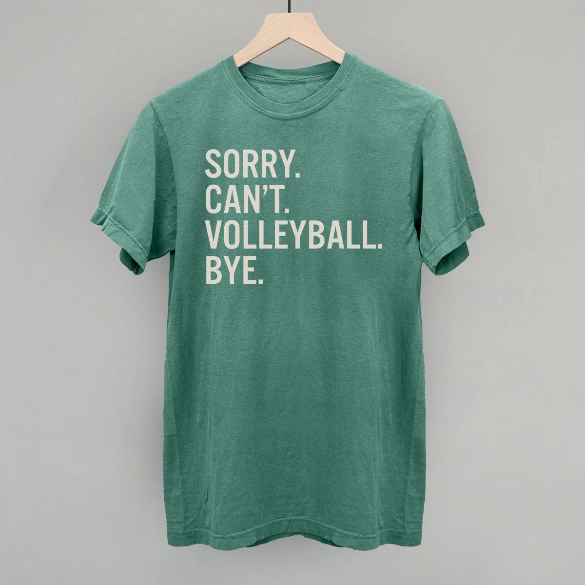 Sorry Can't Volleyball Bye - Image 12