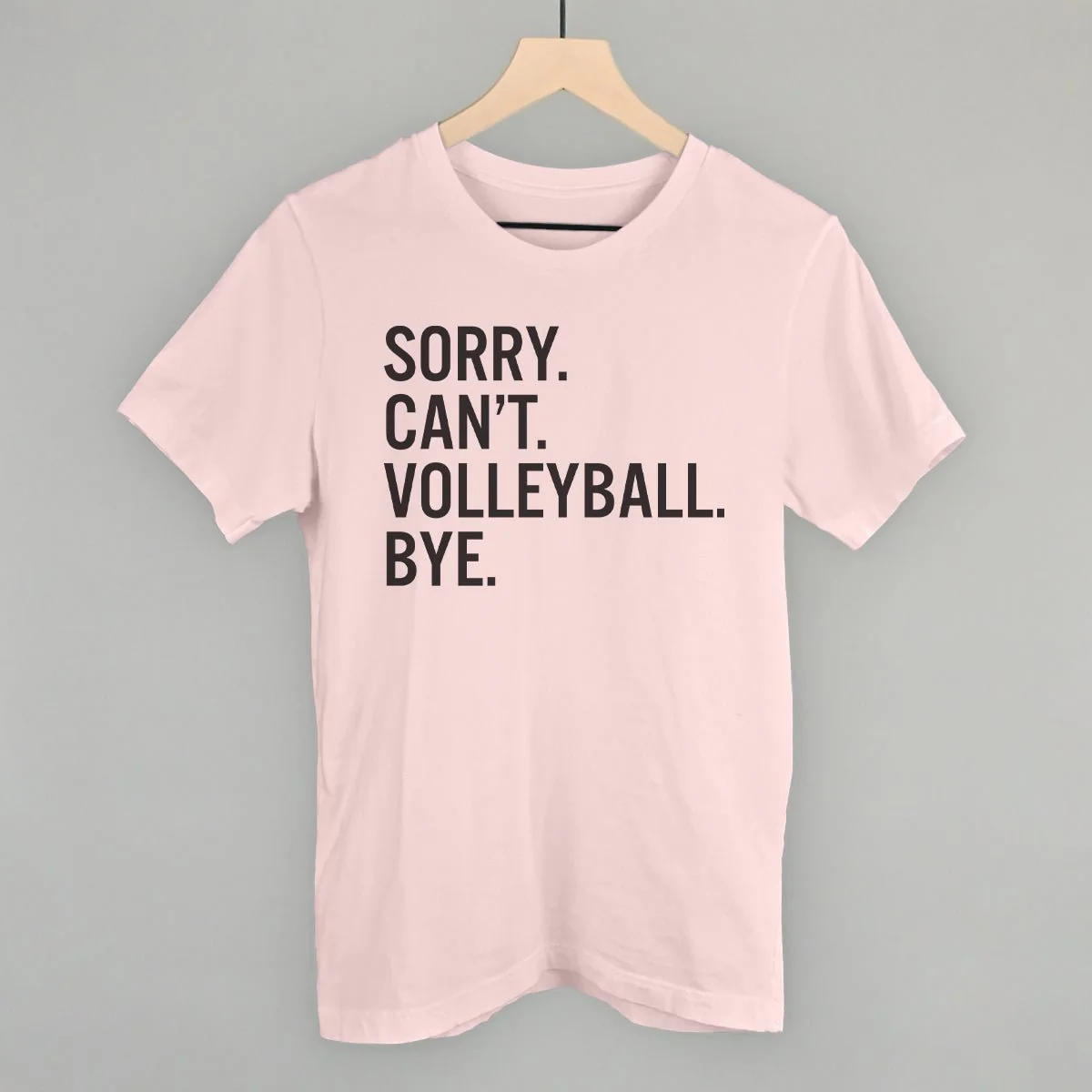 Sorry Can't Volleyball Bye - Image 2