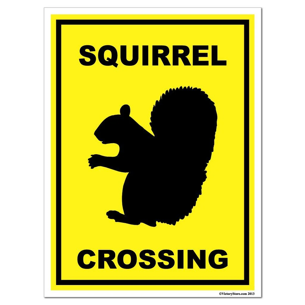 Squirrel Crossing Sign or Sticker - Image 6