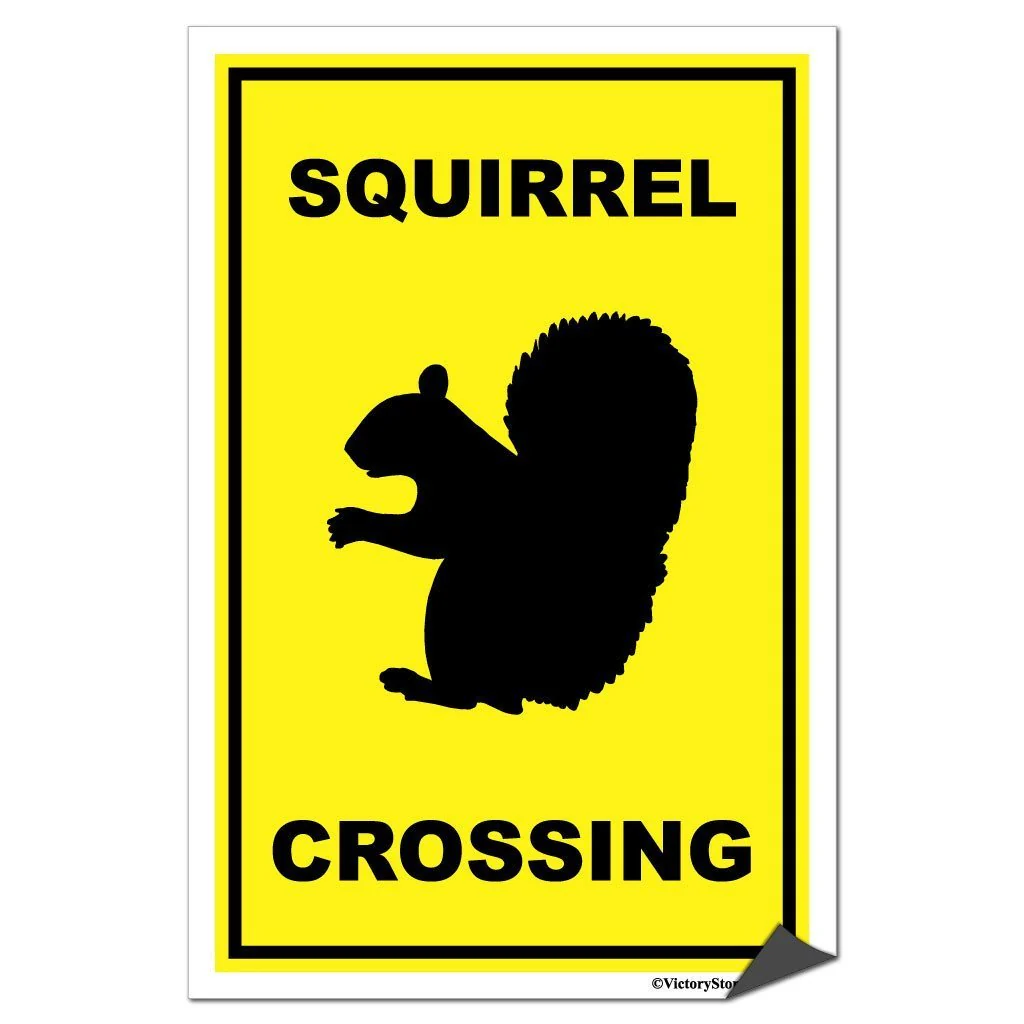 Squirrel Crossing Sign or Sticker - Image 7