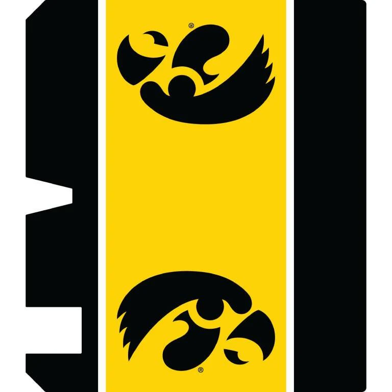 Iowa Hawkeyes Black Striped Magnetic Mailbox Cover - Image 2