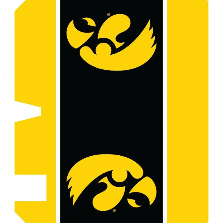 Iowa Hawkeyes Gold Striped Magnetic Mailbox Cover - Image 2