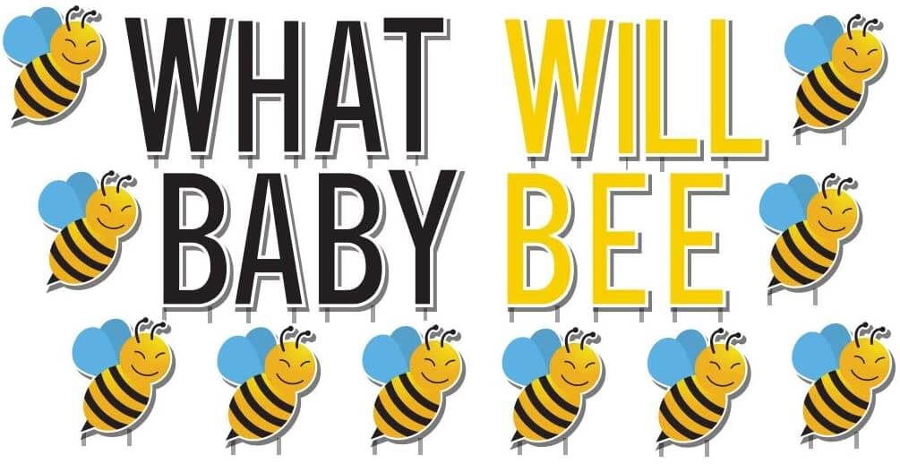 What Will Baby Bee Gender Reveal Yard Decoration 25 pc set - Image 2