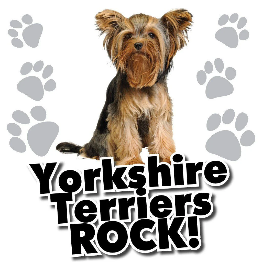Yorkshire Terriers Rock! White T-Shirt - Image 2